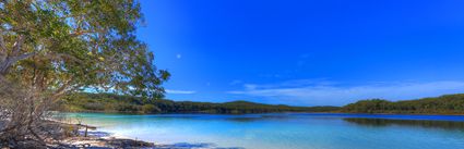Lake McKenzie - Fraser Island - QLD (PB5D 00 51A1684)